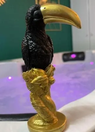 And Jacuzzi تولوز