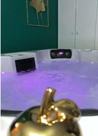 And Jacuzzi Apartment Toulouse