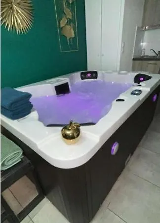 And Jacuzzi Apartment Toulouse